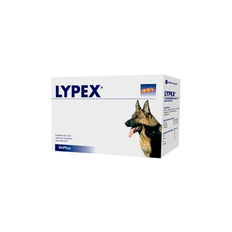 complemento_alimenticio_perros_vetplus_lypex_60_VEP50517.jpg Imagem número 2 complemento_alimenticio_perros_vetplus_lypex_60_VEP50517.jpg Imagem número 2