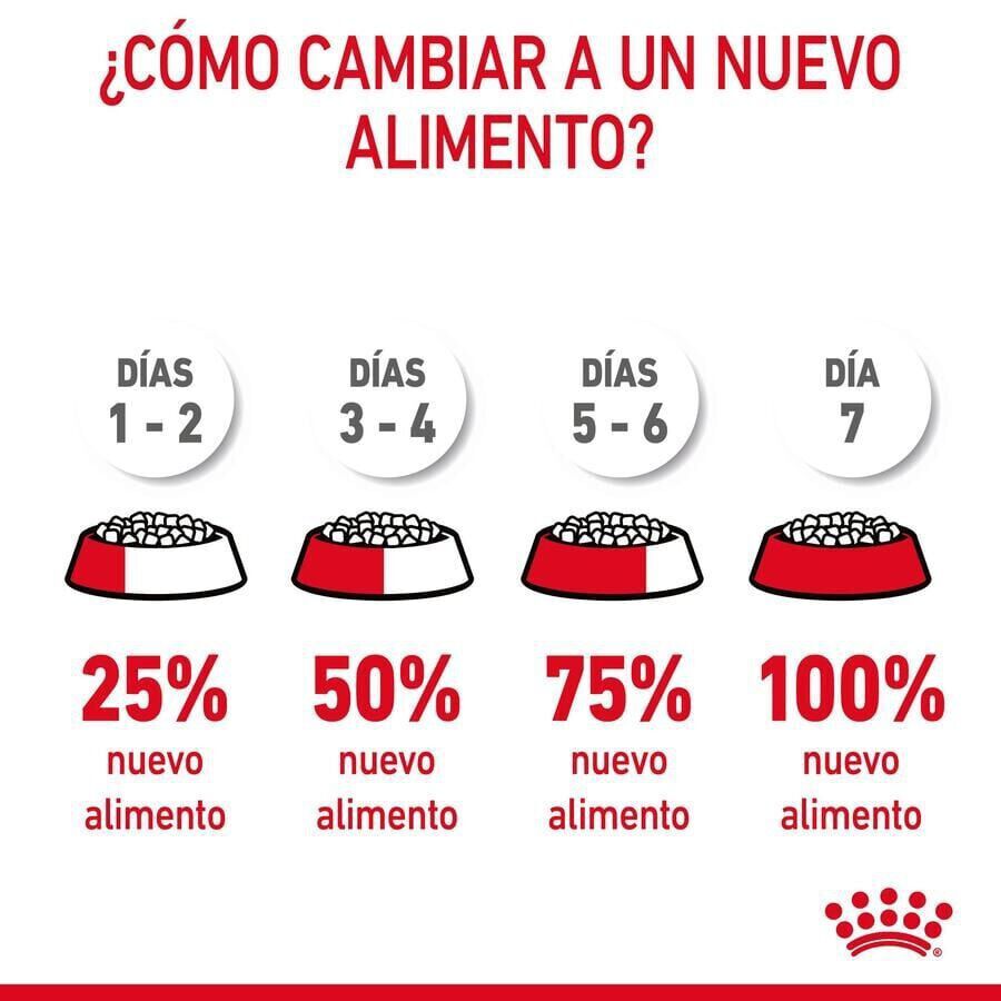 8 kg Royal Canin Adult Light Weight Care ra&ccedil;&atilde;o para gatos, , large Imagem n&uacute;mero 3