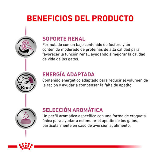 Royal Canin Veterinary Renal ração para gatos , , large image number null
