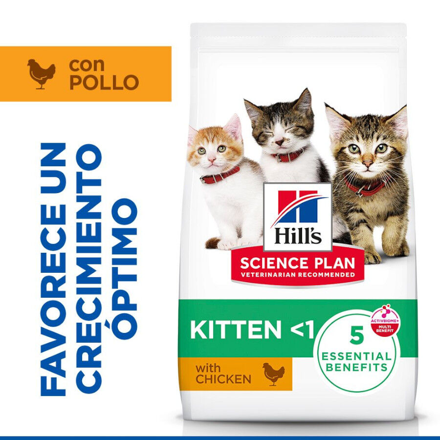 7 kg Hill's Kitten  Science Plan Frango ra&ccedil;&atilde;o , , large Imagem n&uacute;mero 2