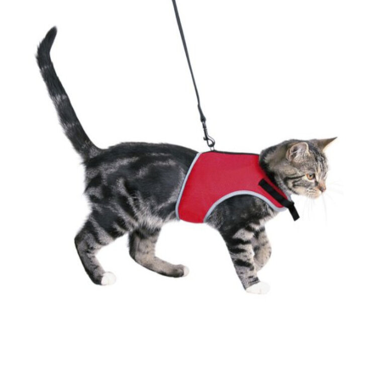 Trixie Arnês com Trela Vermelho para gatos, , large image number null