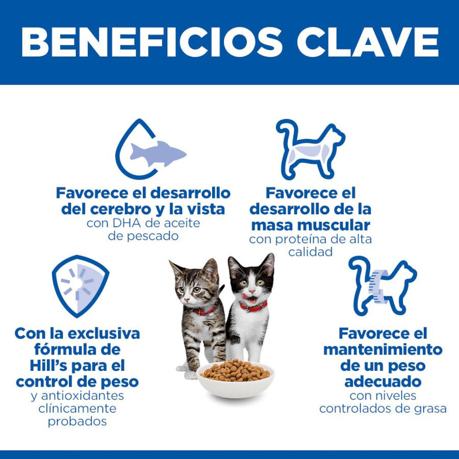 7 kg &nbsp; Hill's Kitten Science Plan Sterilized Frango ra&ccedil;&atilde;o, , large Imagem n&uacute;mero 5