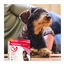 Beaphar FiproTec Pipetas Antiparasitárias para cães de raça pequena, , large Indicador imagem número 8
