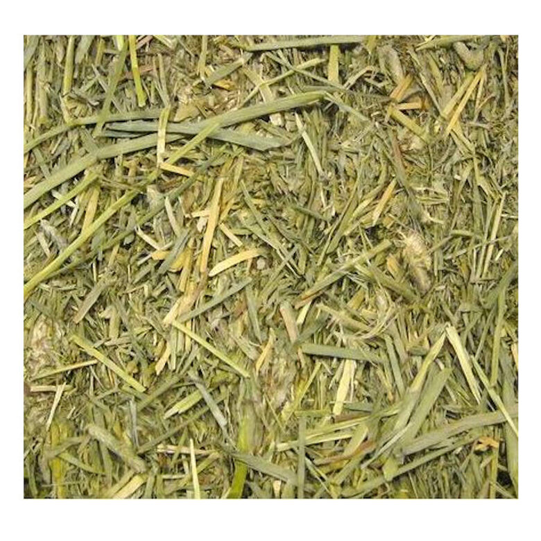 Beaphar Care+ Feno Timothy para roedores,  Imagem número 2 Beaphar Care+ Feno Timothy para roedores, , large Imagem número 2