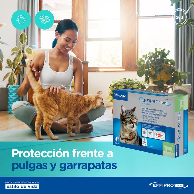 Virbac Effipro Duo Pipetas Antiparasitárias para gatos,  Imagem número 7 Virbac Effipro Duo Pipetas Antiparasitárias para gatos, , large Imagem número 7