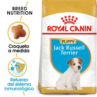 Royal Canin Puppy Jack Russell Terrier ração para cães