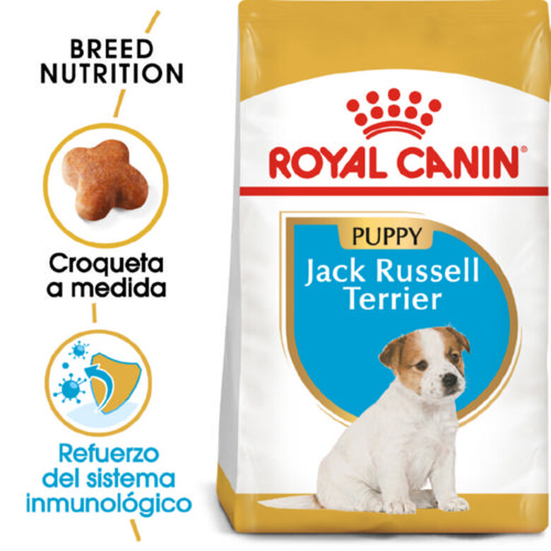 Royal Canin Jack Russell Terrier Puppy pienso image number null