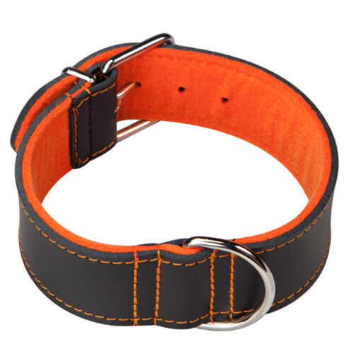 Arppe Superfelt Choppers collar para perros forrado Imagem n&uacute;mero 1