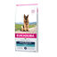 12 kg Eukanuba Adult Breed Specific Pastor Alemão ração para cães, , large Indicador imagem número 1