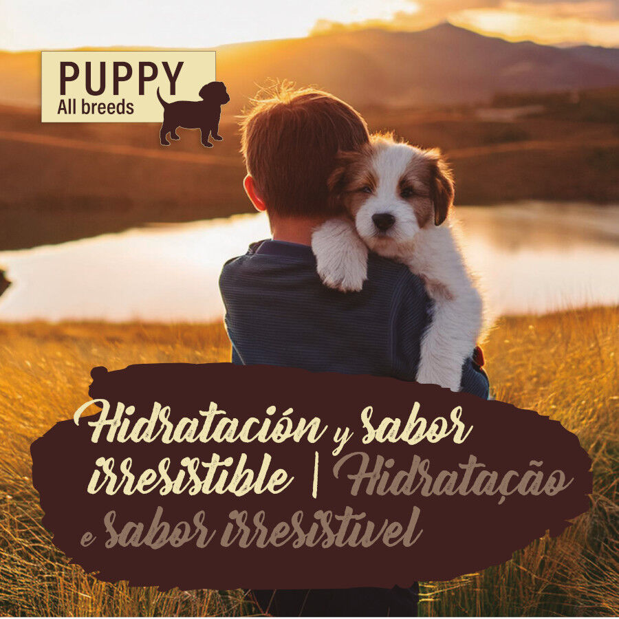 400 g True Origins Pure com Salm&atilde;o lata para cachorros, , large Imagem n&uacute;mero 4