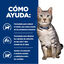 8 kg Hill's Prescription Diet c/d Multicare Stress + Metabolic ra&ccedil;&atilde;o para gatos, , large Indicador imagem n&uacute;mero 4