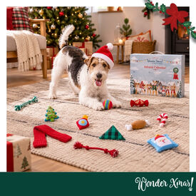 Wonder Christmas Calend&aacute;rio do Advento para c&atilde;es