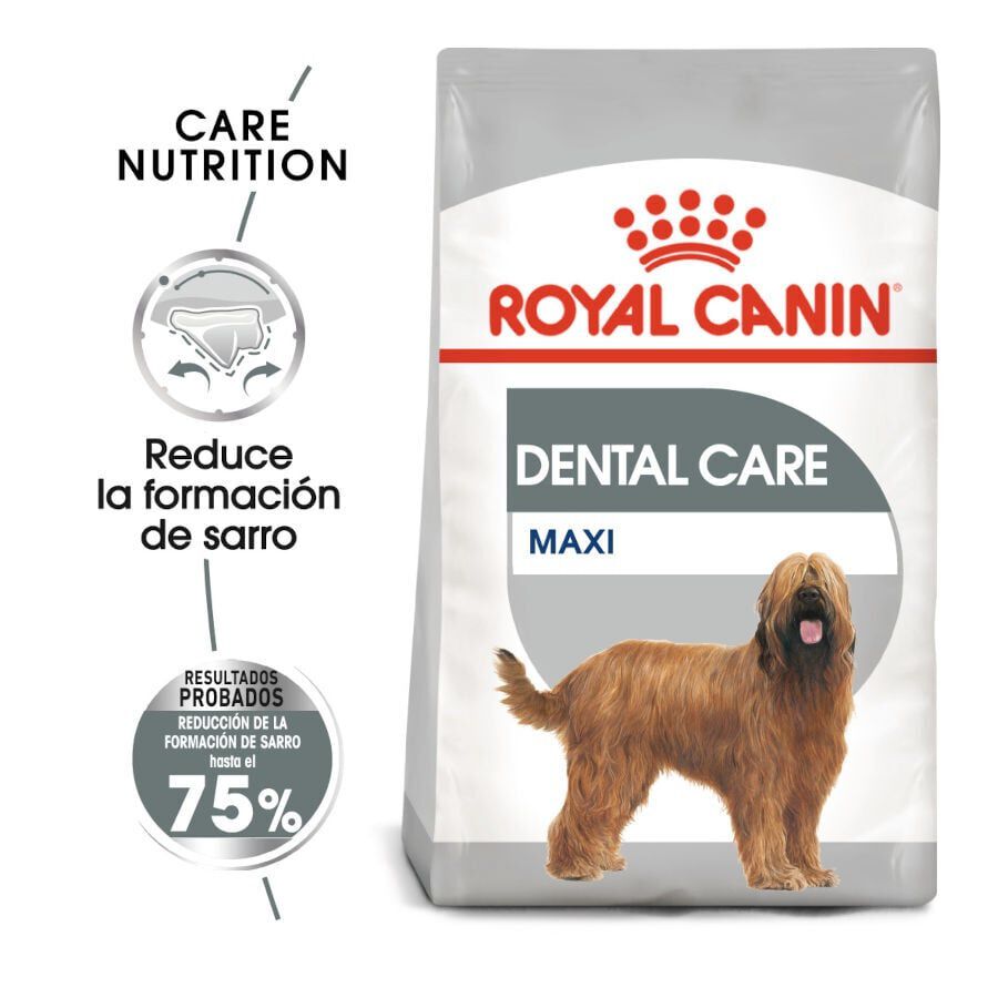 9 kg Royal Canin Maxi Dental Care ra&ccedil;&atilde;o para c&atilde;es, , large Imagem n&uacute;mero 2