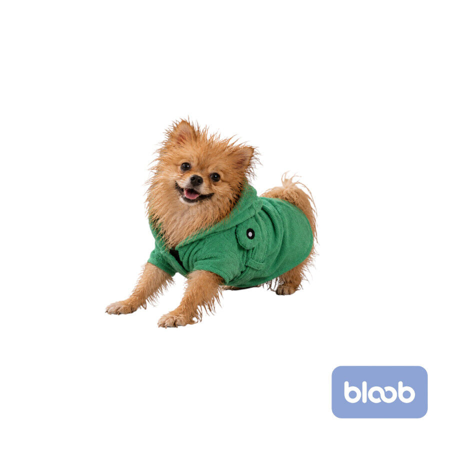 Bloob Rana Roup&atilde;o de Banho verde para c&atilde;es, , large Imagem n&uacute;mero 1
