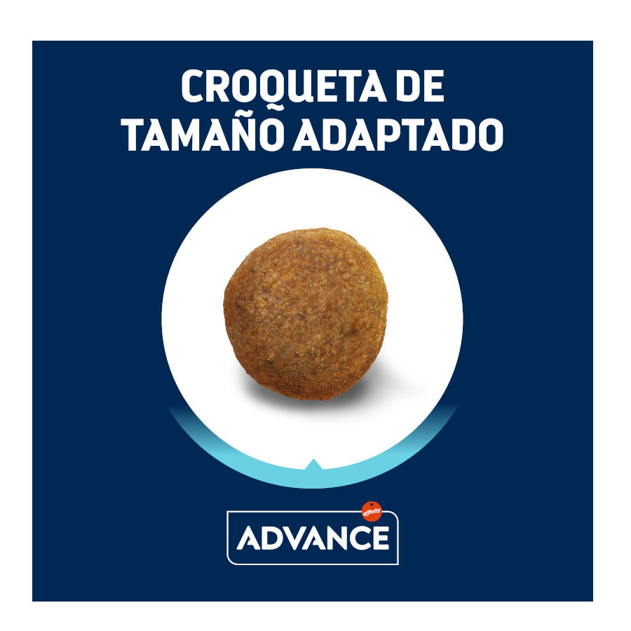 12 kg Advance Active Defense Pastor Alem&atilde;o Adult Aves ra&ccedil;&atilde;o para c&atilde;es, , large Imagem n&uacute;mero 3