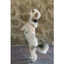 Freedog Snowpuff  Casaco Polar bege para cães, , large Indicador imagem número 3