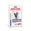 12 sobres x 85 g Royal Canin Mature Consult Balance Paté saqueta para gatos, , large Indicador imagem número 1