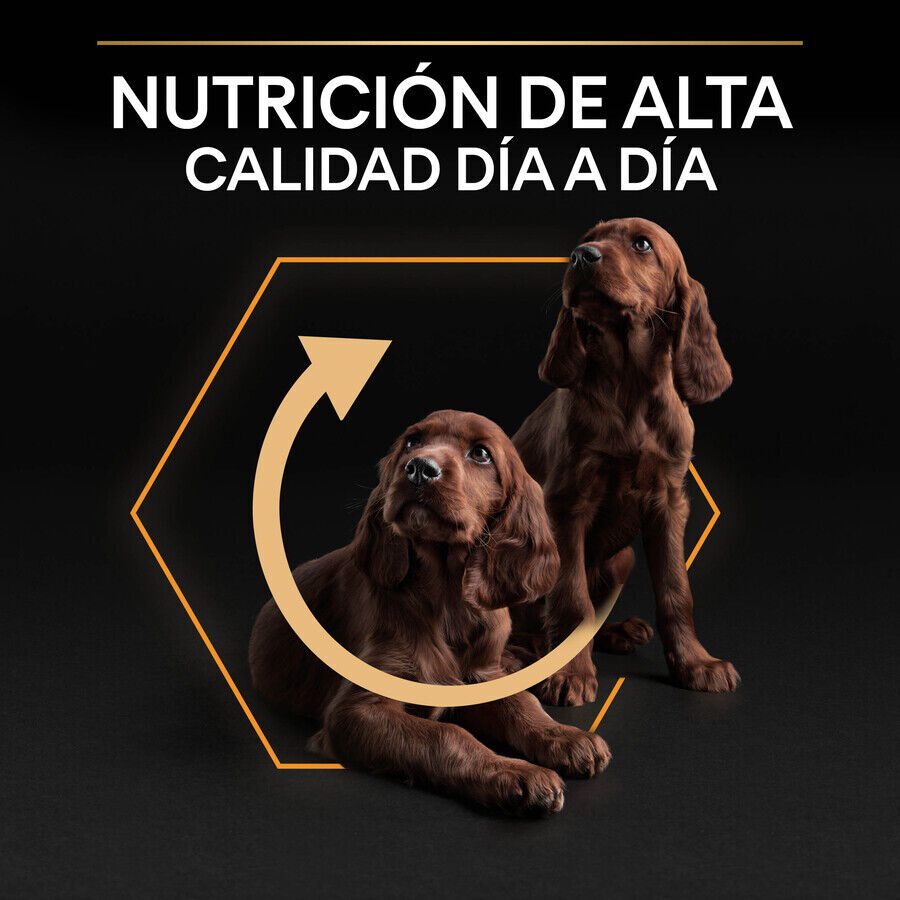 3 kg Pro Plan Adult Small e Mini Frango ra&ccedil;&atilde;o para c&atilde;es, , large Imagem n&uacute;mero 8