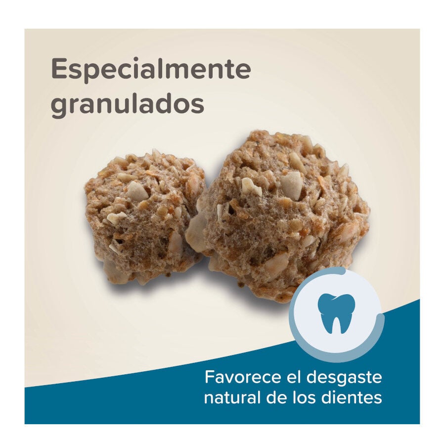 Beaphar Care + ra&ccedil;&atilde;o para coelhos Jr super premium, , large Imagem n&uacute;mero 6