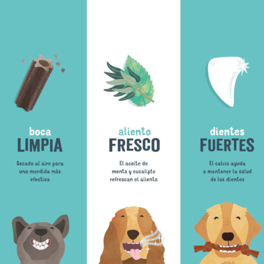 7 sticks Edgard y Cooper Snacks Dent&aacute;rios Adult Large Ma&ccedil;&atilde; e Eucalipto para c&atilde;es, , large Imagem n&uacute;mero 5