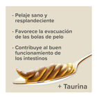 Beaphar Pasta de Malte para furões , , large image number null