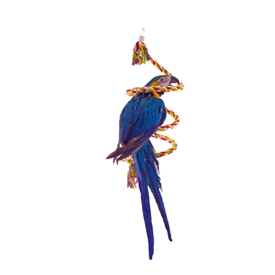 Sun Parrots Brinquedo para p&aacute;ssaros suspenso em espiral de algod&atilde;o, , large Imagem n&uacute;mero 1