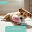 Tootoy! Puppy Mordedor Ice Cream para cachorros, , large Indicador imagem número 7