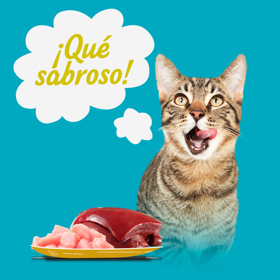 12 latas x 400 g Start Multipack de Carne em Molho para gatos, , large Imagem n&uacute;mero 4