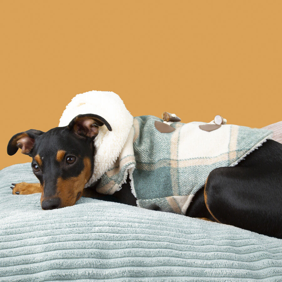 Outech Casaco Xadrez para c&atilde;es, , large Imagem n&uacute;mero 3