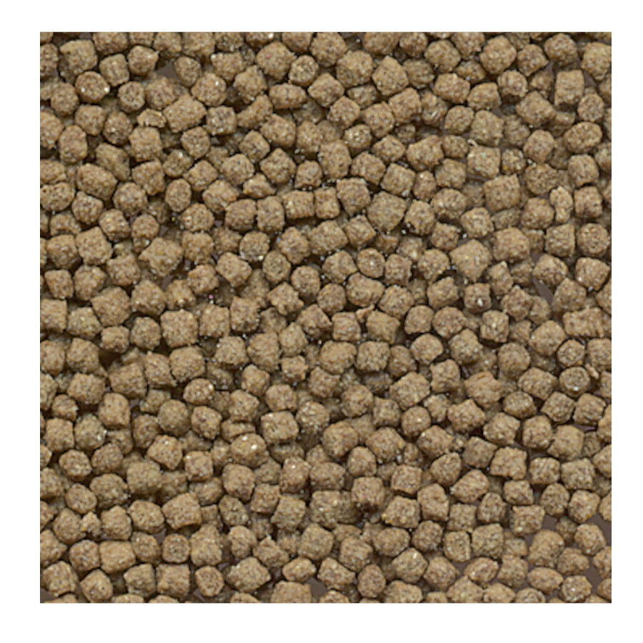 Flamingo Pet Plus Turtle comida de tartaruga, , large Imagem n&uacute;mero 2