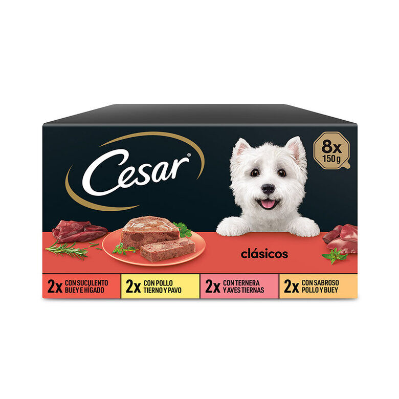 8 terrinas x 150 g Cesar Sele&ccedil;&atilde;o Cl&aacute;ssicos Terrina em Pat&ecirc; para C&atilde;es - Multipack, , large Imagem n&uacute;mero 1