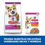 Hills Adult Small y Mini Science Plan Cordeiro ração para cães, , large Indicador imagem número 6