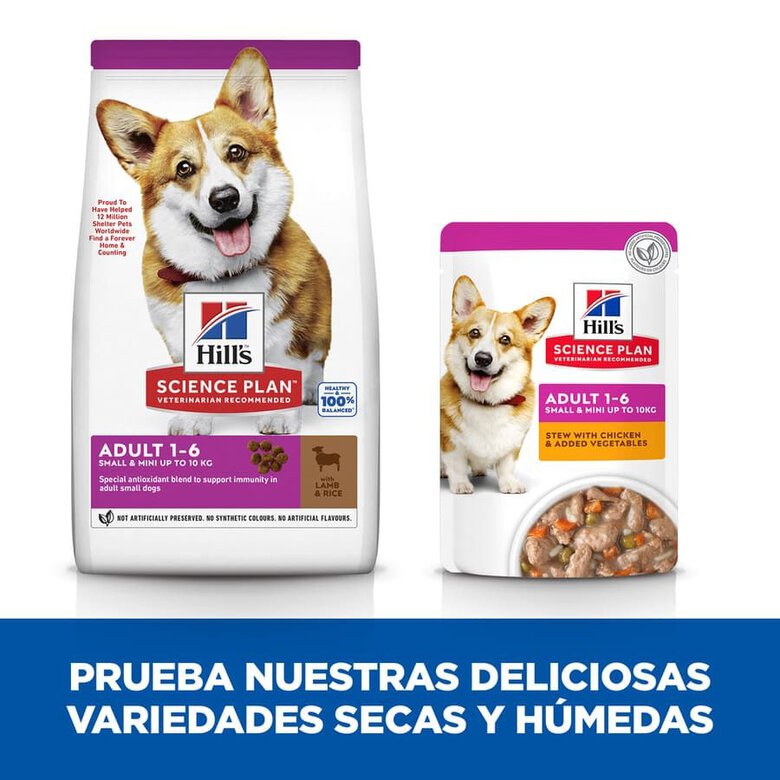 1.5 kg Hills Adult Small y Mini Science Plan Cordeiro ração para cães,  Imagem número 6 1.5 kg Hills Adult Small y Mini Science Plan Cordeiro ração para cães, , large Imagem número 6