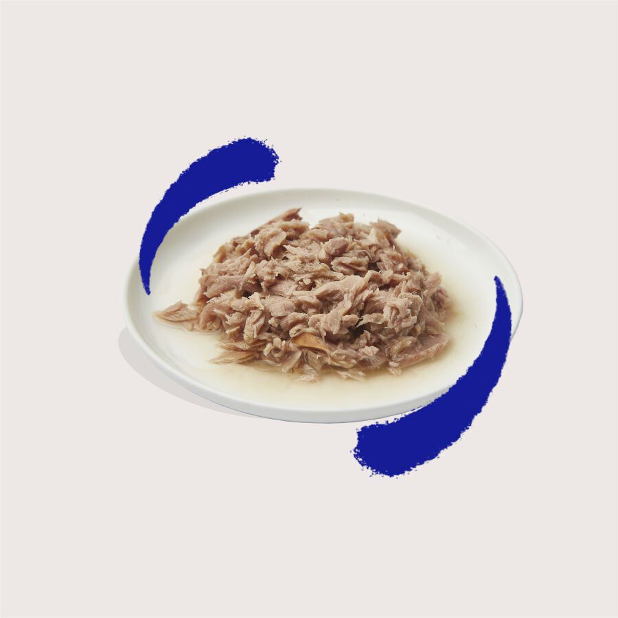 70 g Edgard & Cooper Alimento h&uacute;mido de atum em lata para gatos, , large Imagem n&uacute;mero 2