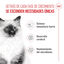 10 kg Royal Canin Kitten ração para gatos, , large Indicador imagem número 4