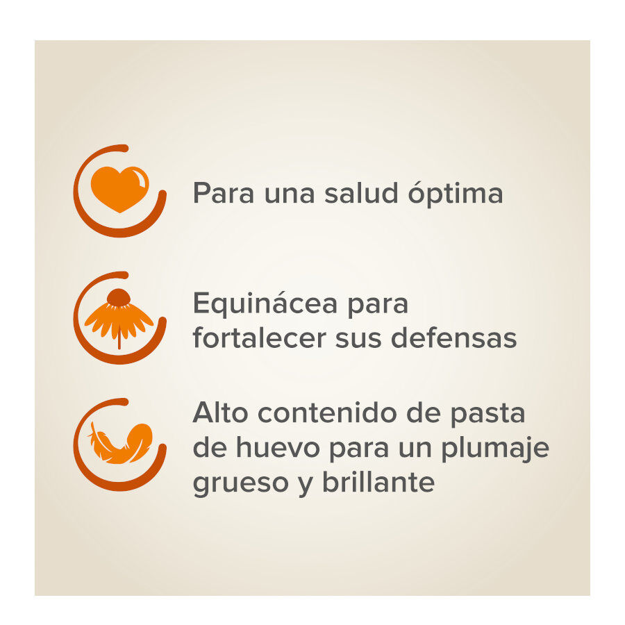 Beaphar XtraVital comida para papagaios, , large Imagem n&uacute;mero 4