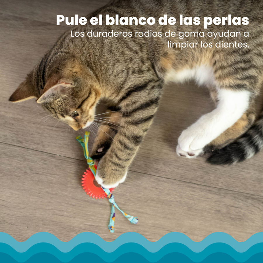 Catstages Kitty Chew Vermelha Brinquedo Roda Mordedora para gatos, , large Imagem n&uacute;mero 5