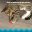 Outward Hound Catstages Kitty Chew Vermelha Brinquedo Roda Mordedora para gatos, , large Indicador imagem número 5