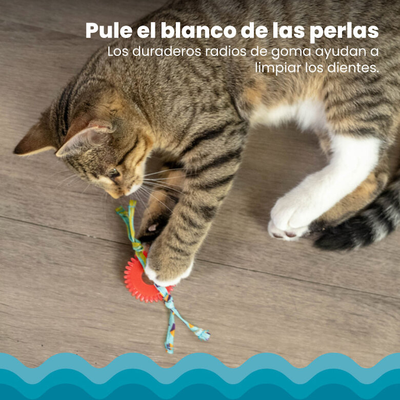 Catstages Kitty Chew Vermelha Brinquedo Roda Mordedora para gatos,  Imagem número 5 Catstages Kitty Chew Vermelha Brinquedo Roda Mordedora para gatos, , large Imagem número 5