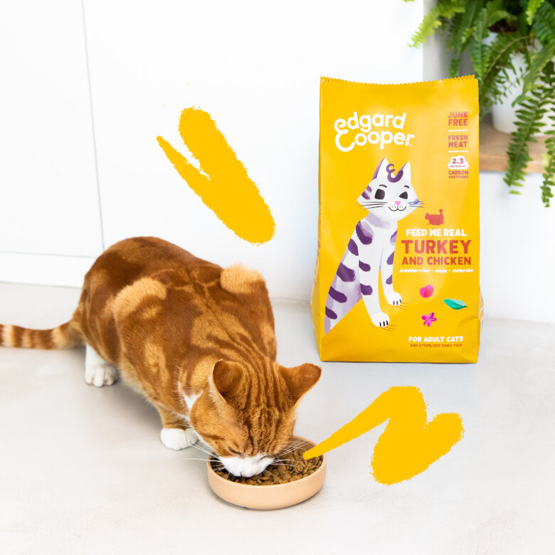 2 kg Edgard & Cooper Adult Ração de peru e frango para gatos ,  Imagem número 2 2 kg Edgard & Cooper Adult Ração de peru e frango para gatos , , large Imagem número 2