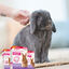Beaphar RabbitComfort Difusor e recarga para coelhos, , large Indicador imagem número 9