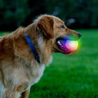 Nite Ize Glowstreak Disc-O LED Peluche para cães, , large image number null
