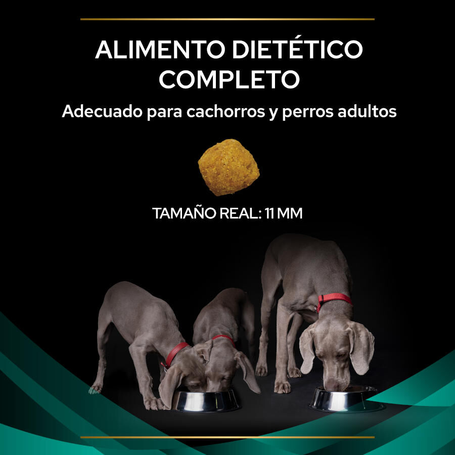 12 kg Pro Plan Veterinary Diets Gastrointestinal EN ra&ccedil;&atilde;o para c&atilde;es, , large Imagem n&uacute;mero 3