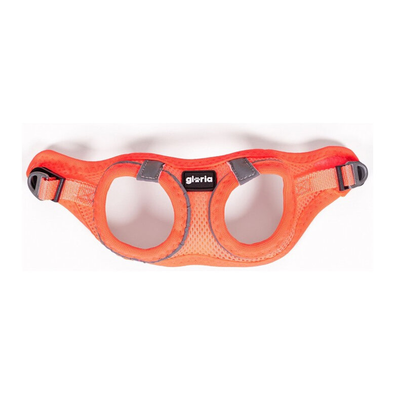 Gloria Ar Air Mesh Trek Star Peitoral/Vestuário laranja para cães,  Imagem número 2 Gloria Ar Air Mesh Trek Star Peitoral/Vestuário laranja para cães, , large Imagem número 2