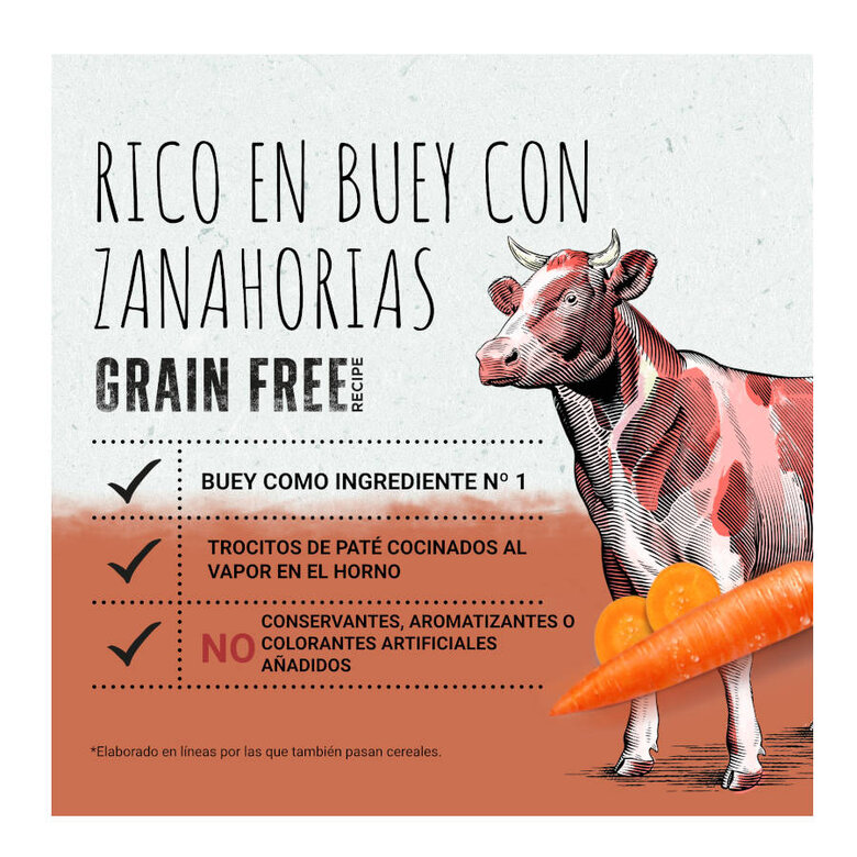 Purina Beyond Grain Free boi lata para cães , , large image number null