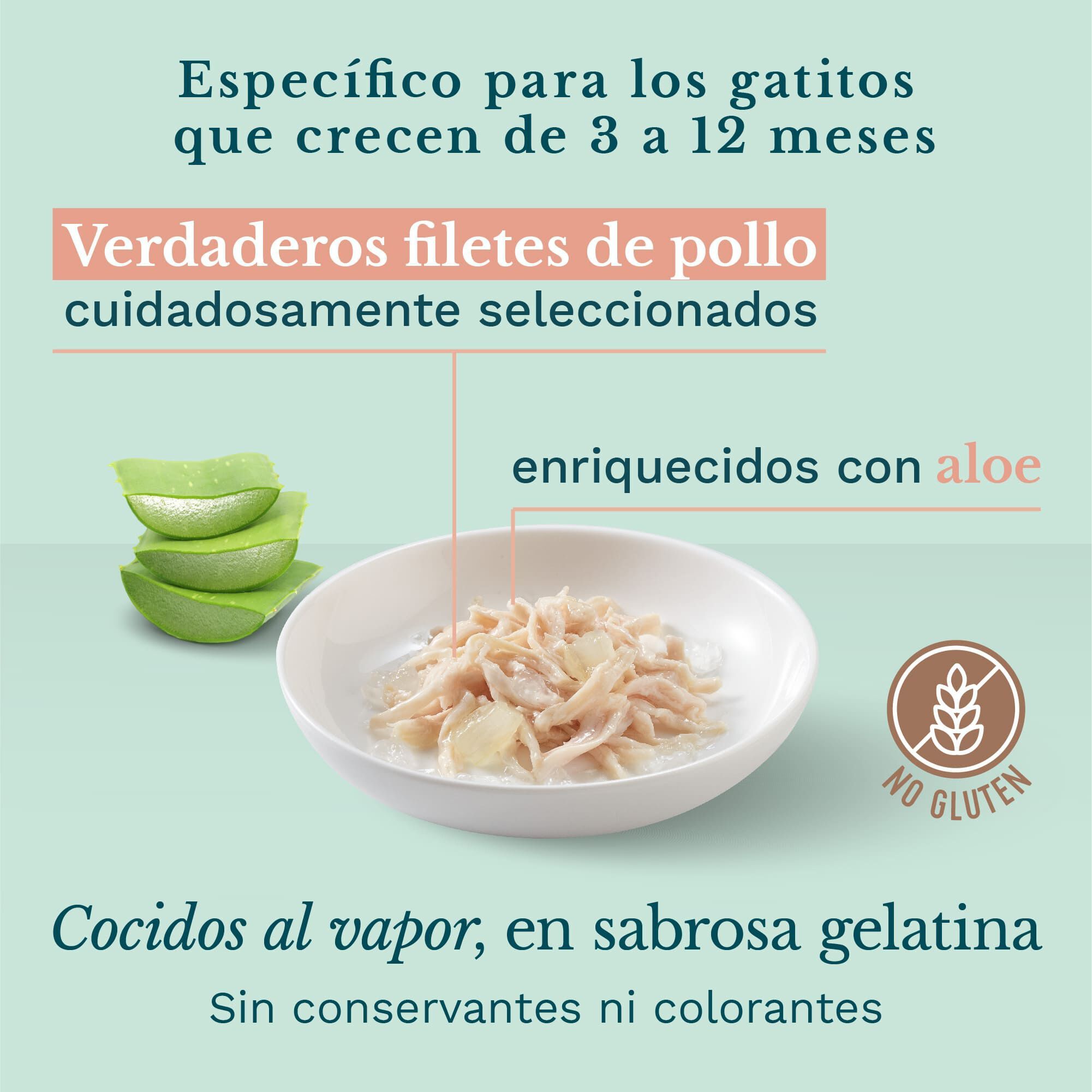 85 g Schesir Kitten Frango com Alo&eacute; lata para gatos, , large Imagem n&uacute;mero 3