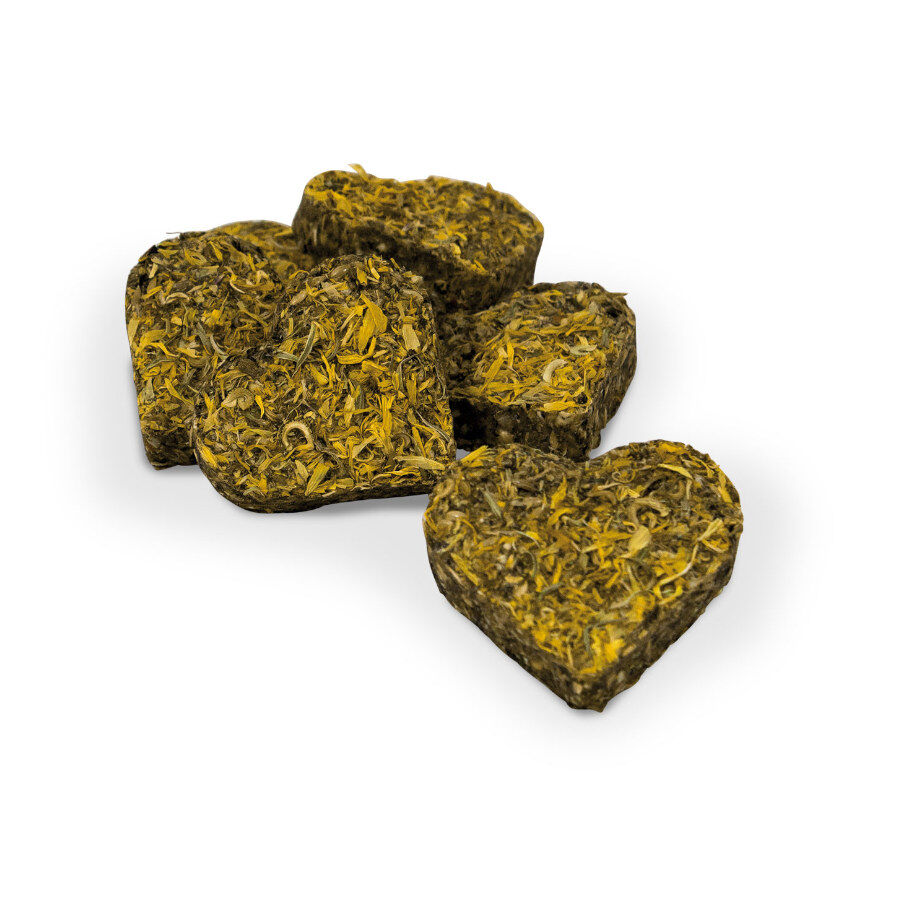 JR Farm Grainless Guloseimas Cal&ecirc;ndula para roedores, , large Imagem n&uacute;mero 2