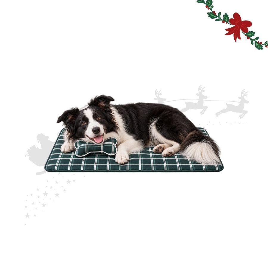 Wonder Christmas Conjunto de manta e almofada em forma de osso para c&atilde;es, , large Imagem n&uacute;mero 1