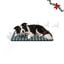 Wonder Christmas Conjunto de manta e almofada em forma de osso para c&atilde;es, , large Indicador imagem n&uacute;mero 1