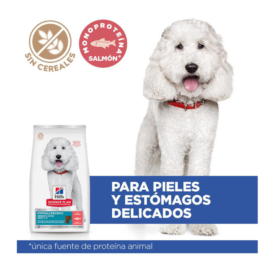 Hill's Science Plan Adult Medium Hypoallergenic Salm&atilde;o ra&ccedil;&atilde;o para c&atilde;es, , large Imagem n&uacute;mero 3